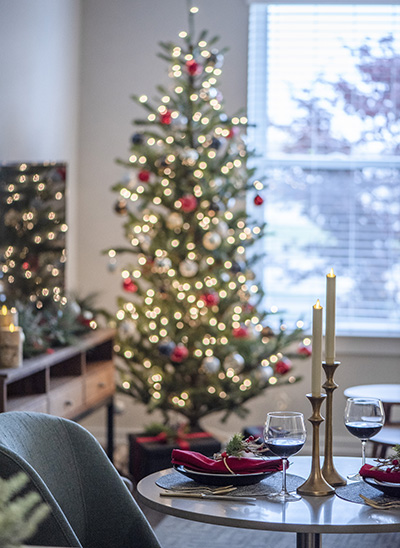 dining room with Christmas tree in the background