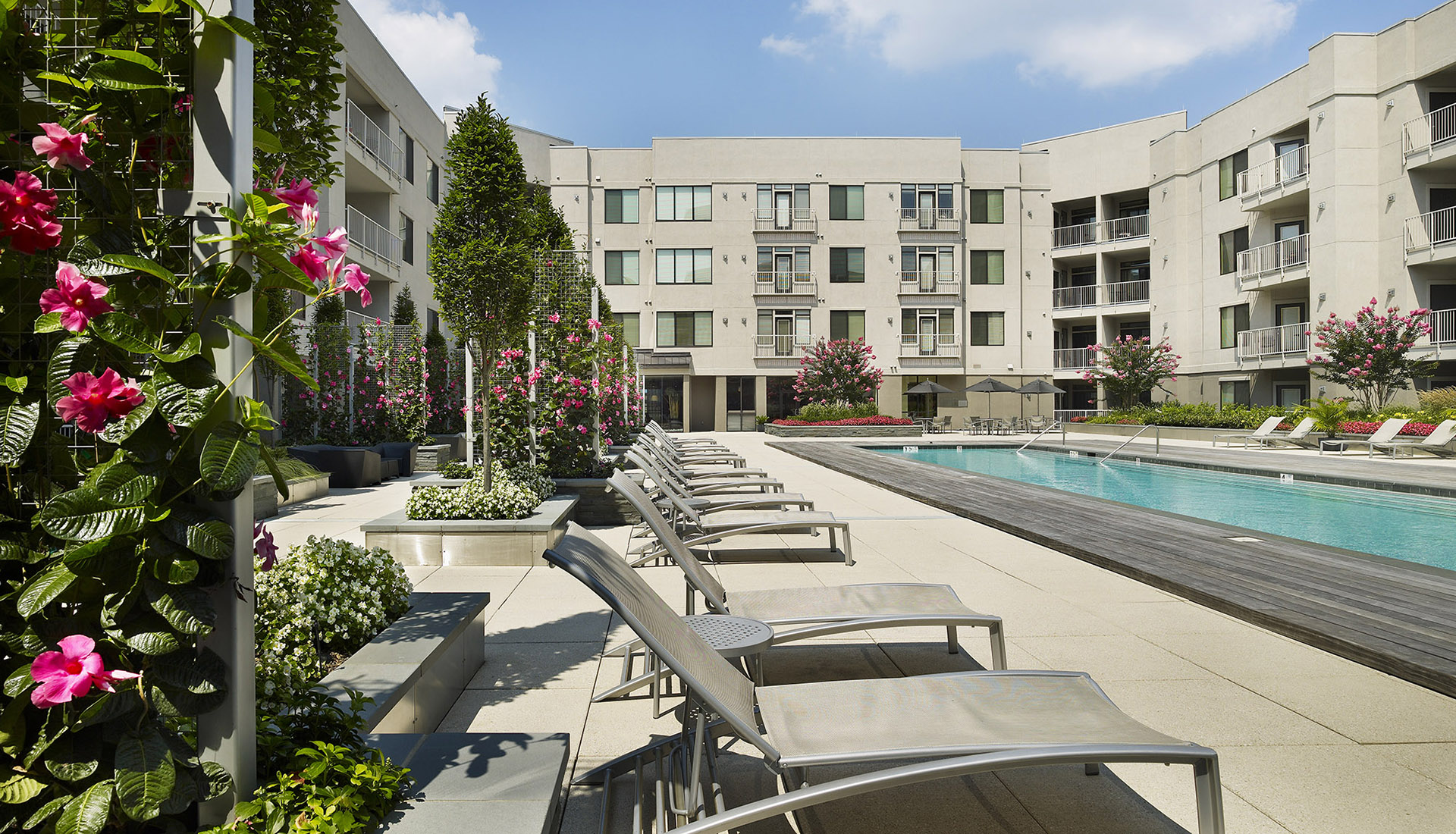 AVE Clifton courtyard view looking over pool