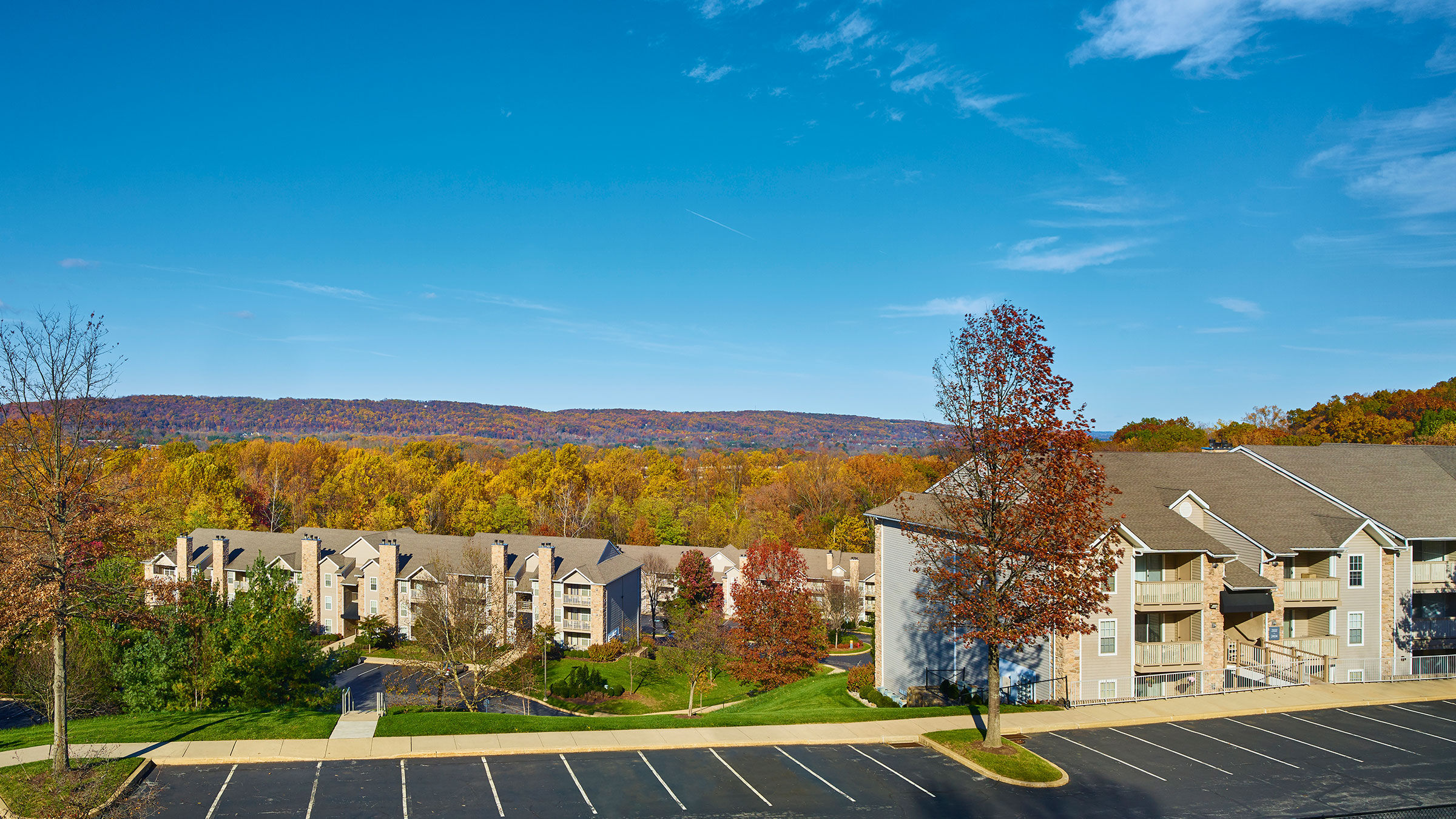 a parking lot with buildings and trees in the background