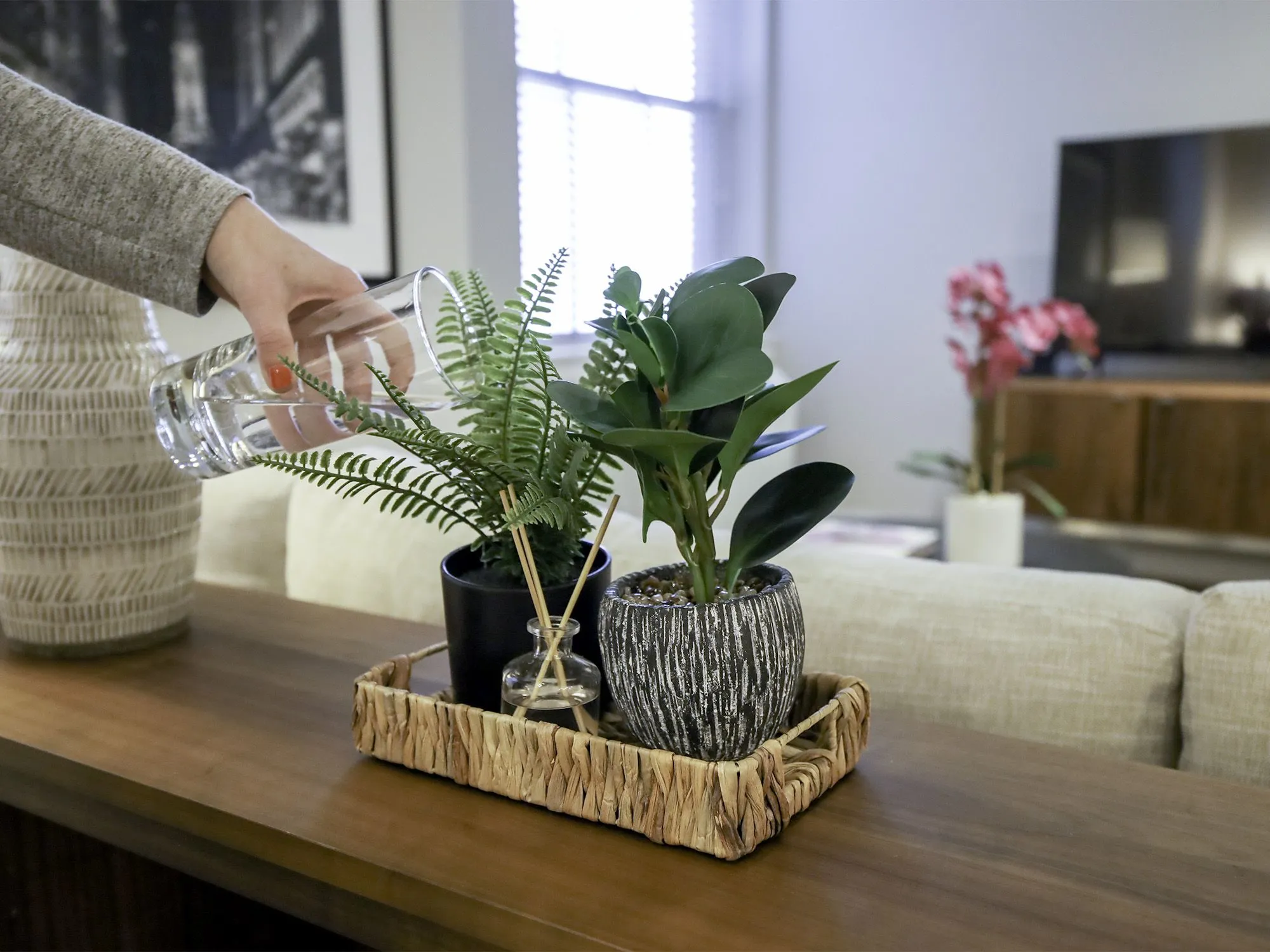 Image alt text not provided