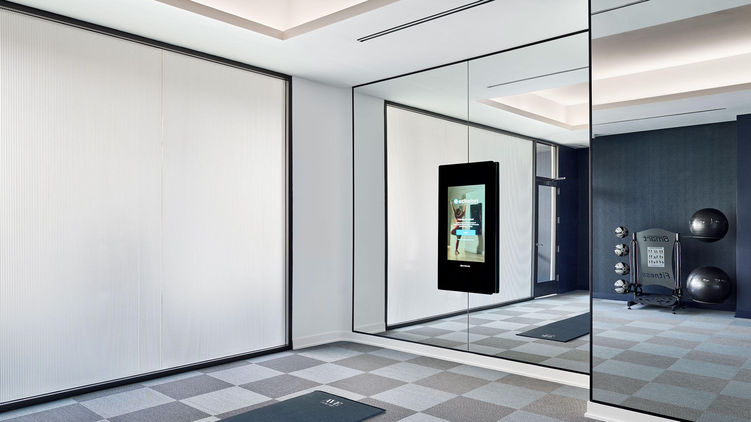 a room with a screen and a rug