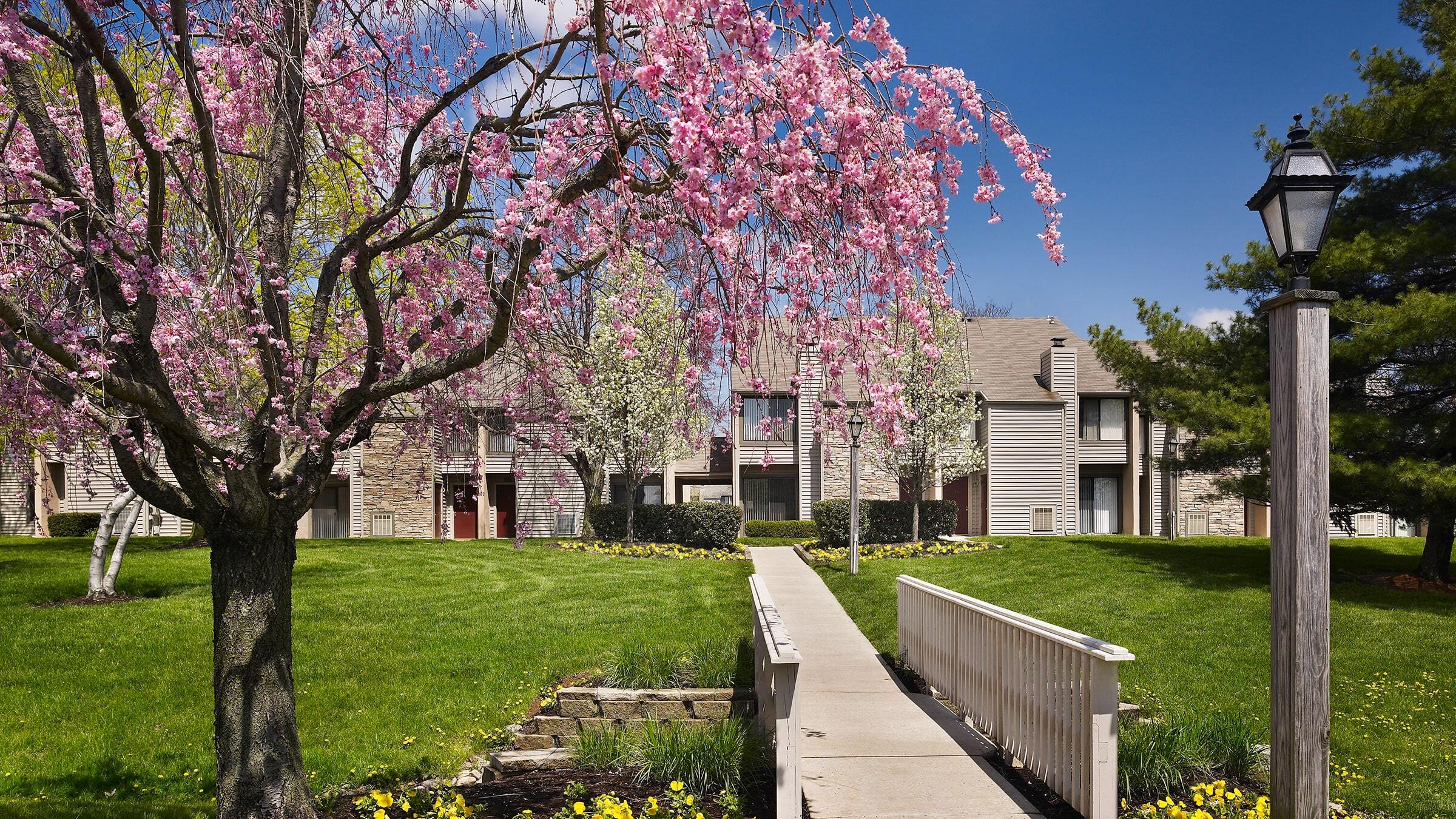 a walkway with pink flowers on it