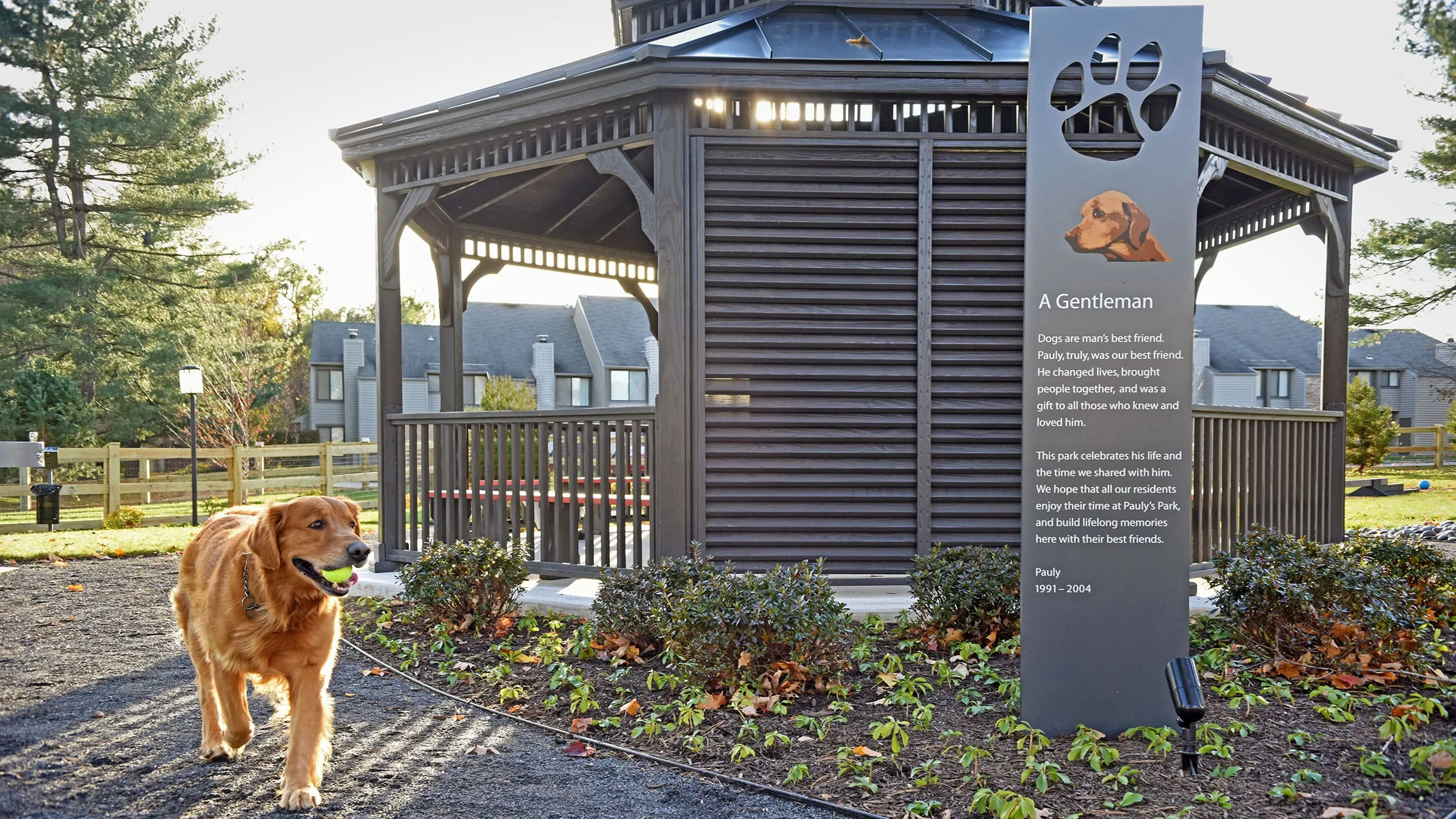 a dog standing in front of a sign
