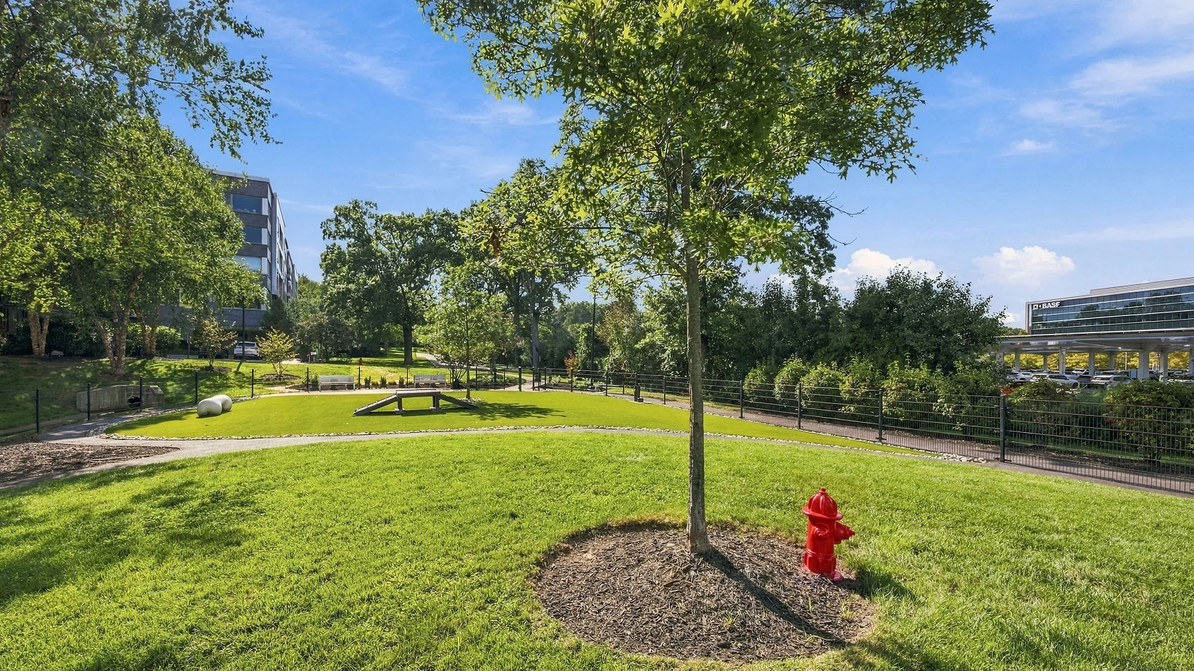 Dog park at AVE Florham Park luxury apartments in Florham Park, NJ, with red fire hydrant, mature shade tree, and open grass lawn