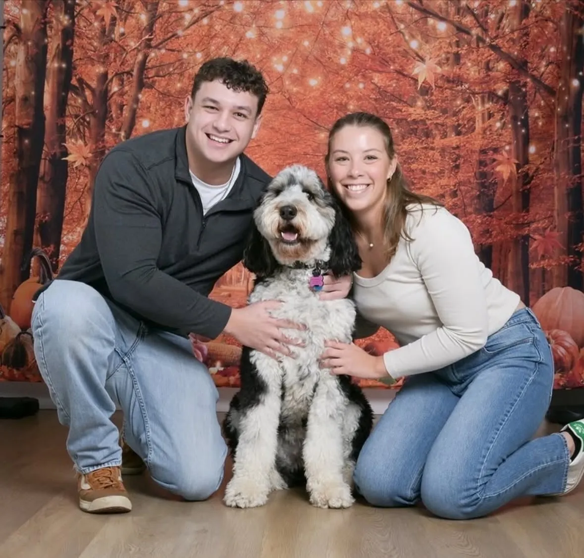 Image alt text not provided