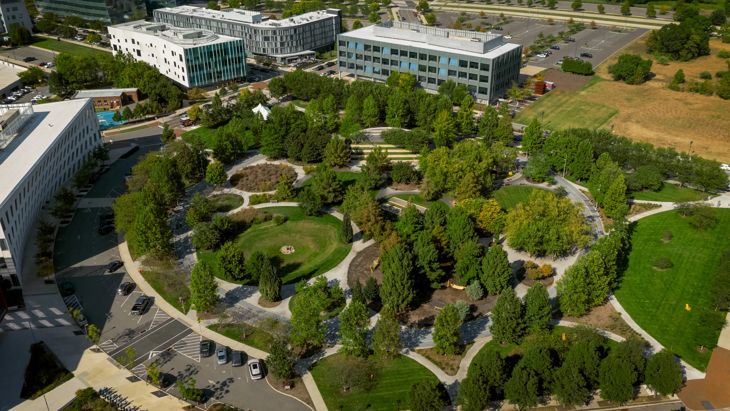 a park with trees and buildings in the background