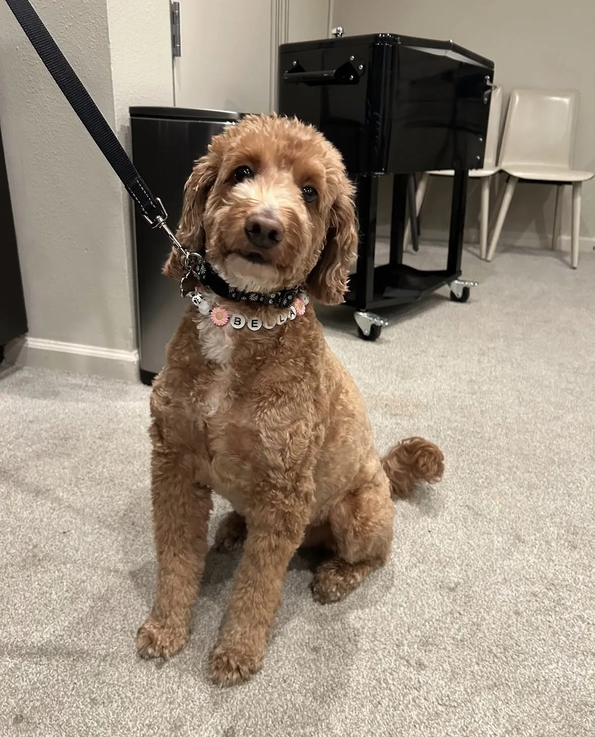 Image alt text not provided