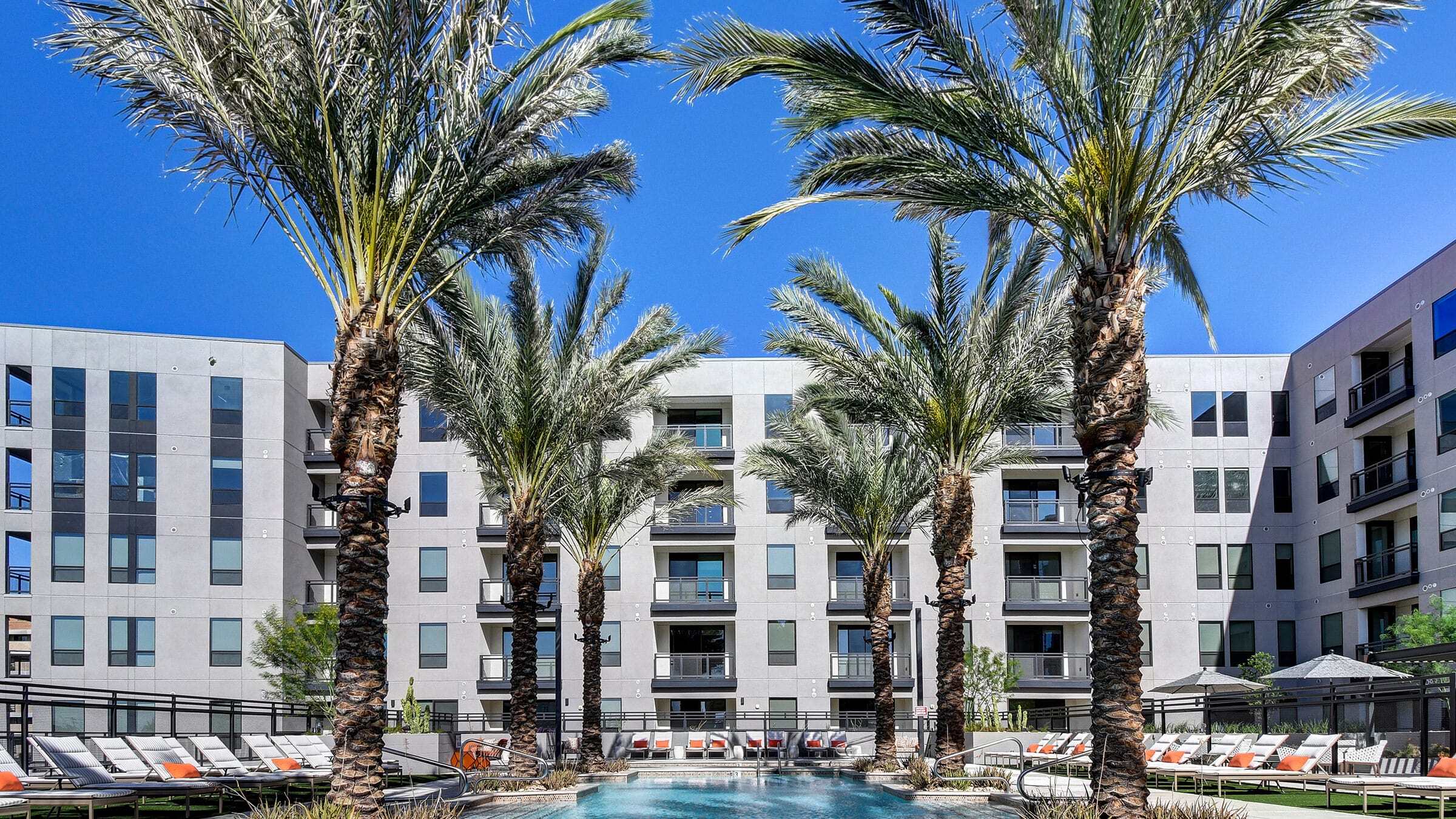 a pool with palm trees and a building