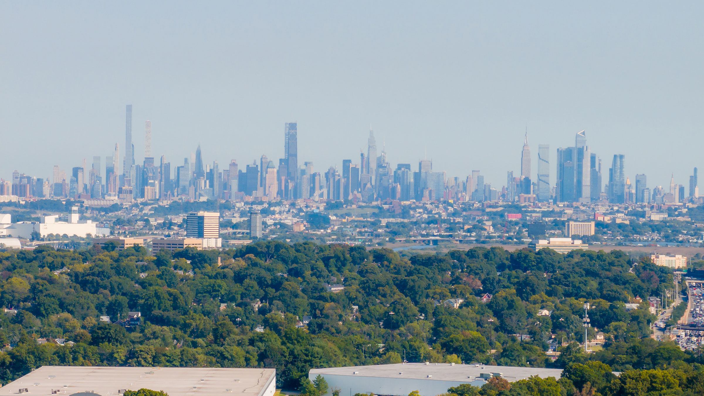 new york city skyline with trees