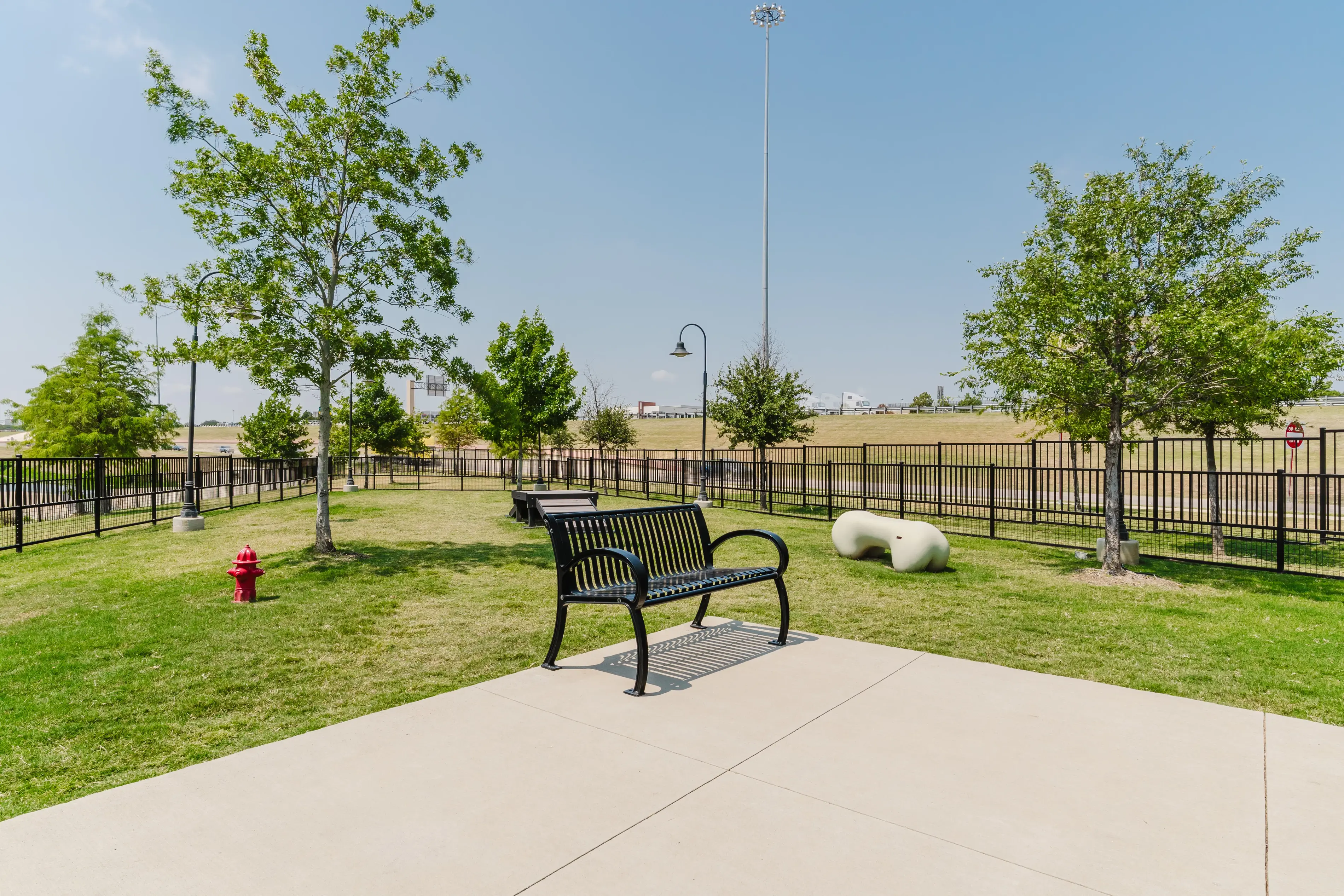 a bench in a dog park