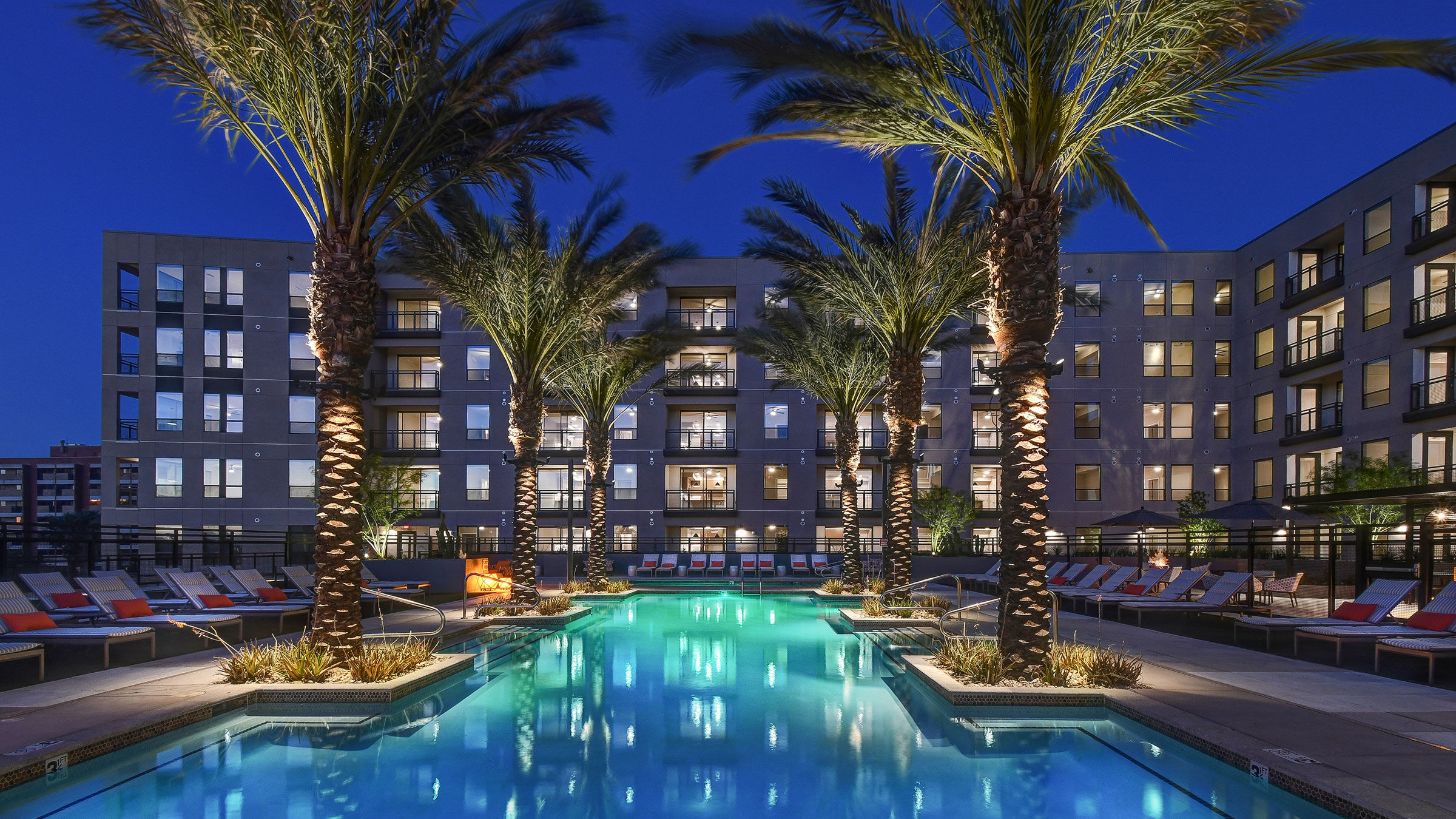 a pool with palm trees and a building with windows