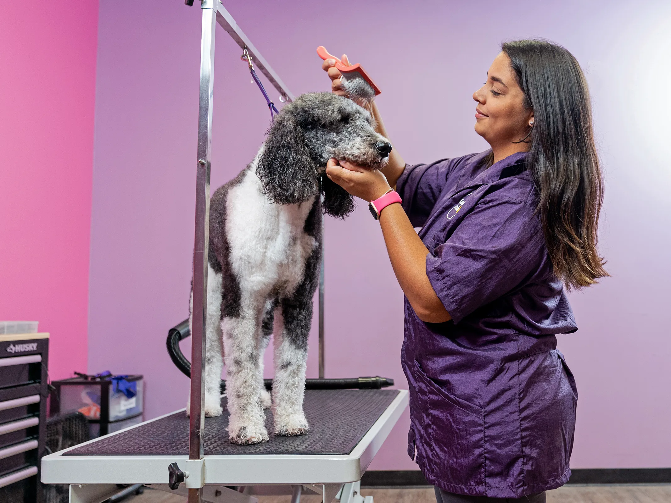 Central Bark dog park and pet care facility at Paradise Valley in Phoenix, Arizona