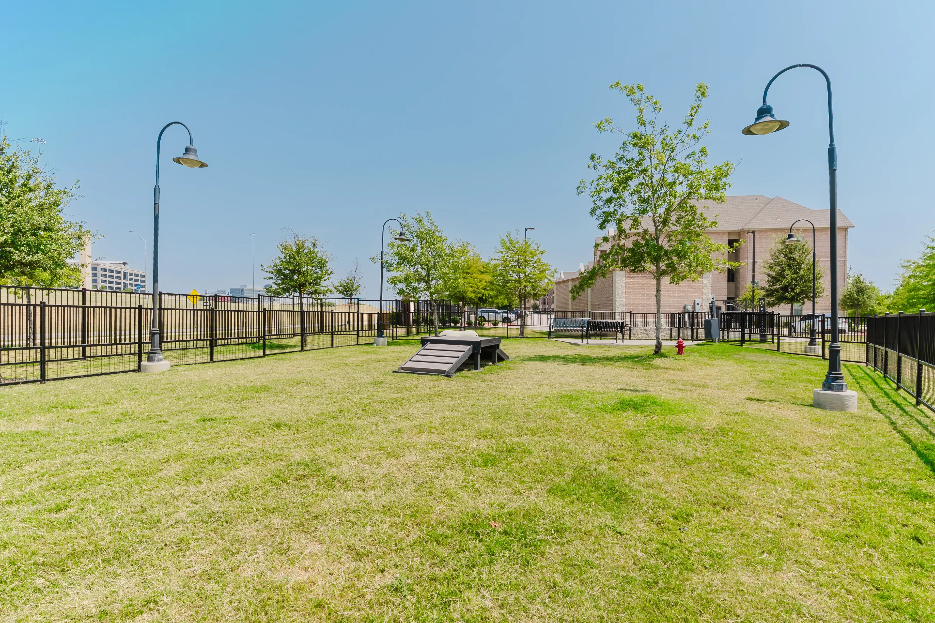 a dog park with a dog ramp