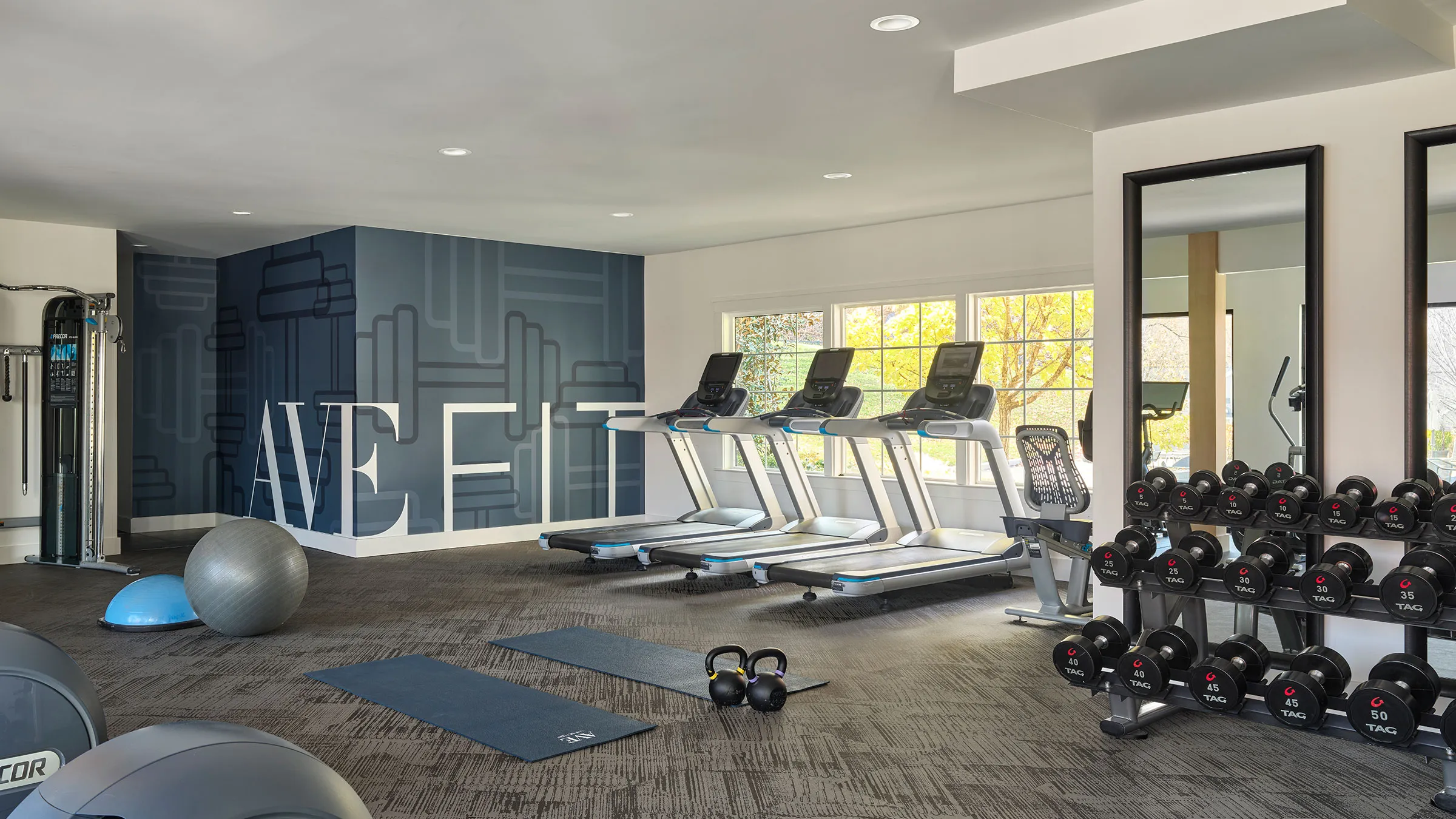 a gym with exercise equipment