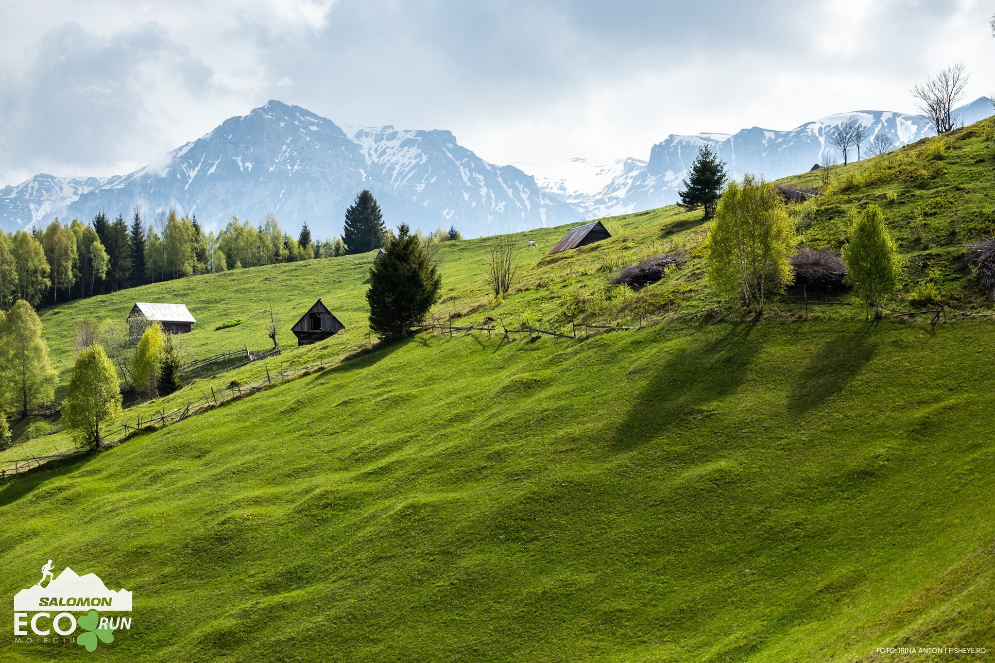 Image alt text not provided