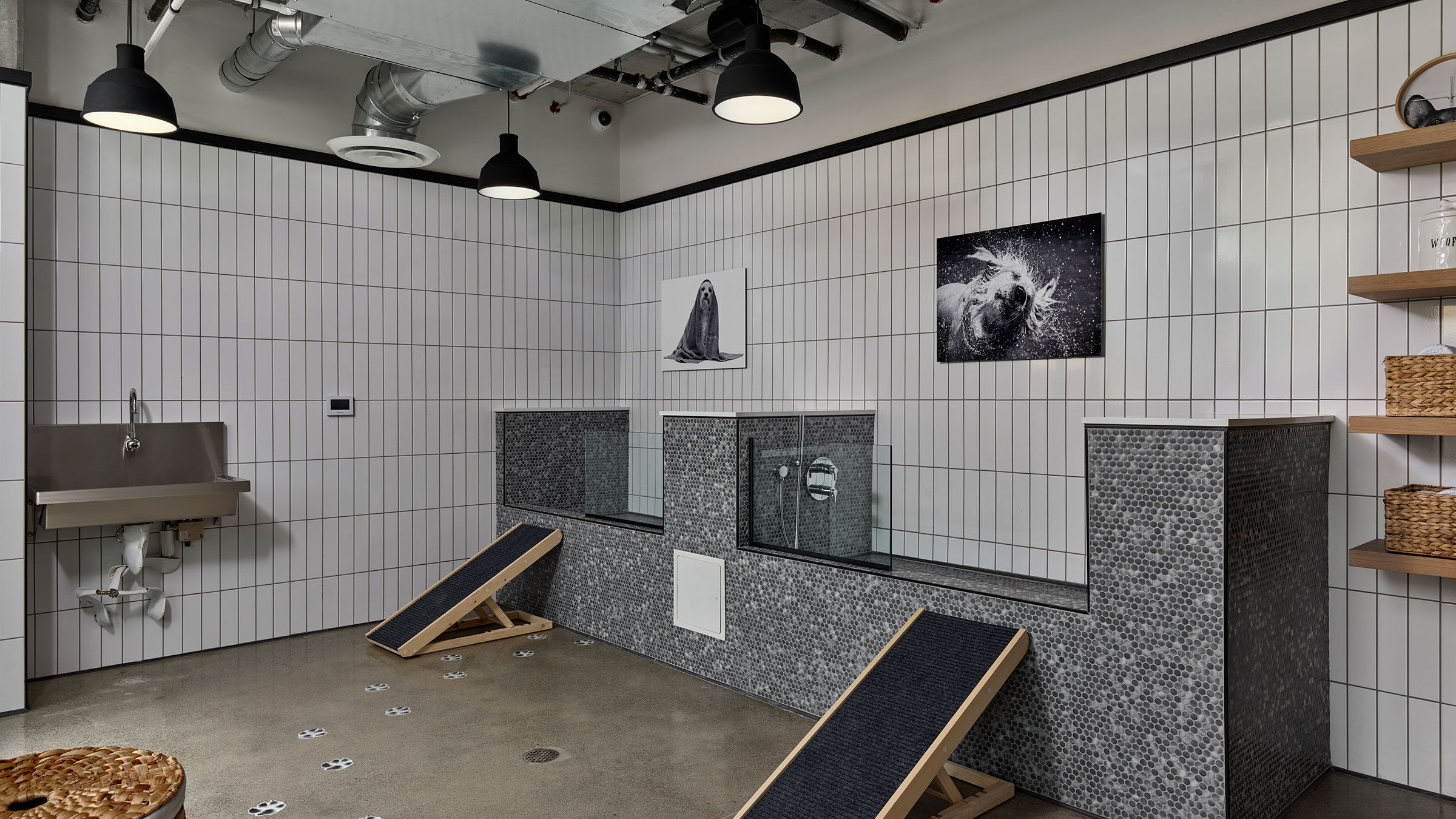 a dog boarding in a dog grooming salon