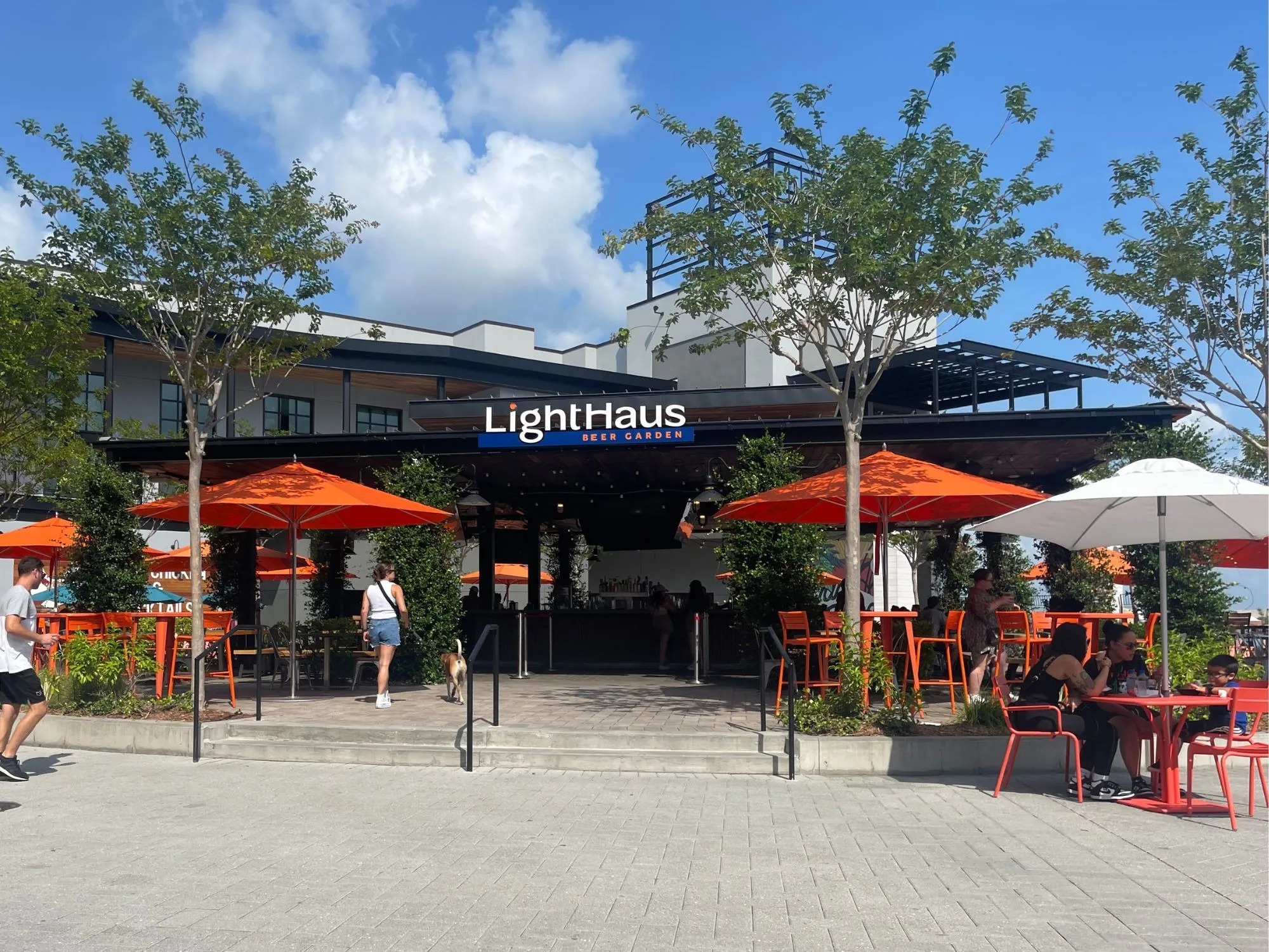 Image alt text not provided