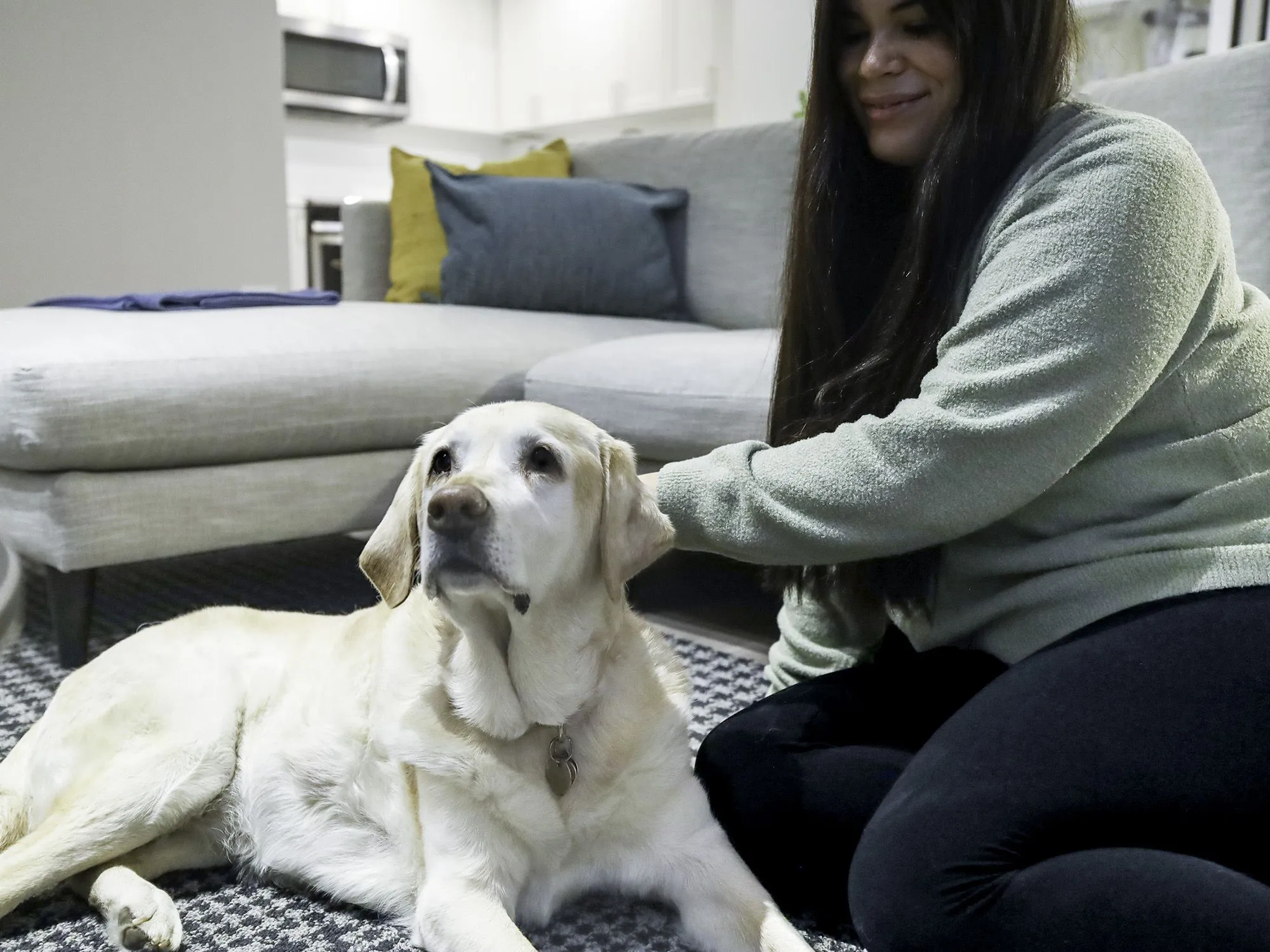 Image alt text not provided