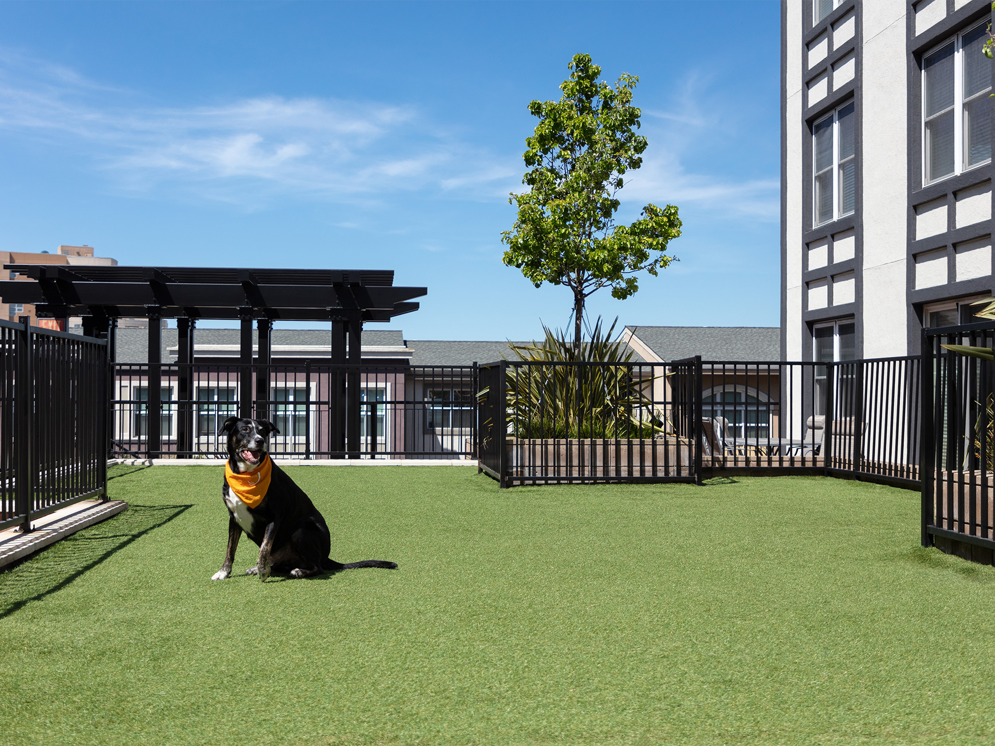AVE Emeryville Dog Park