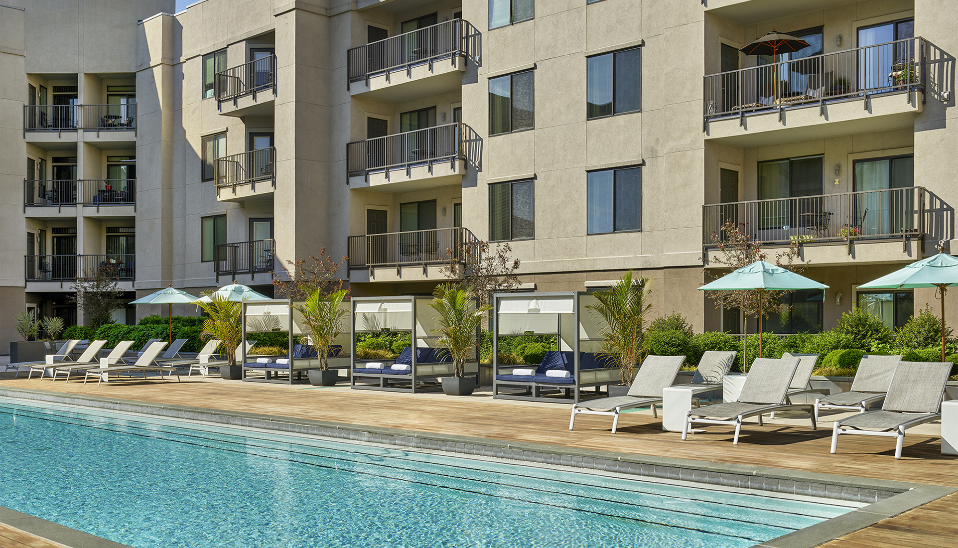 AVE Clifton pool with loungers in the daytime