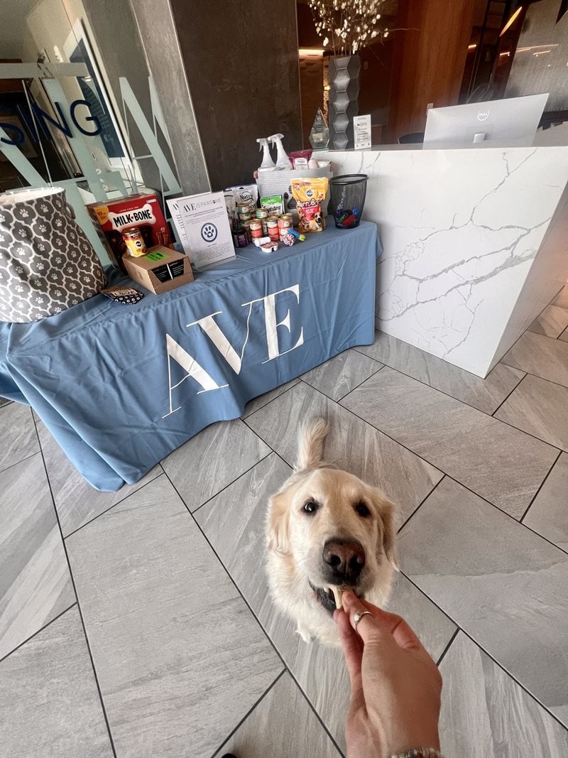AVE is PAWsome