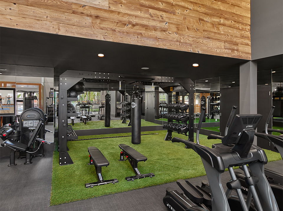 AVE Tampa Fitness Center