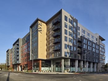 Exterior of building with large windows, cars driving by and greenery