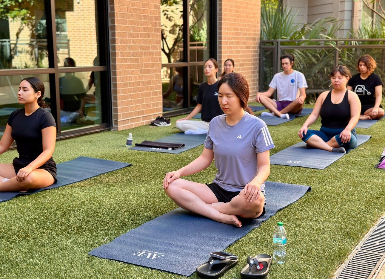 Yoga at AVE Terra