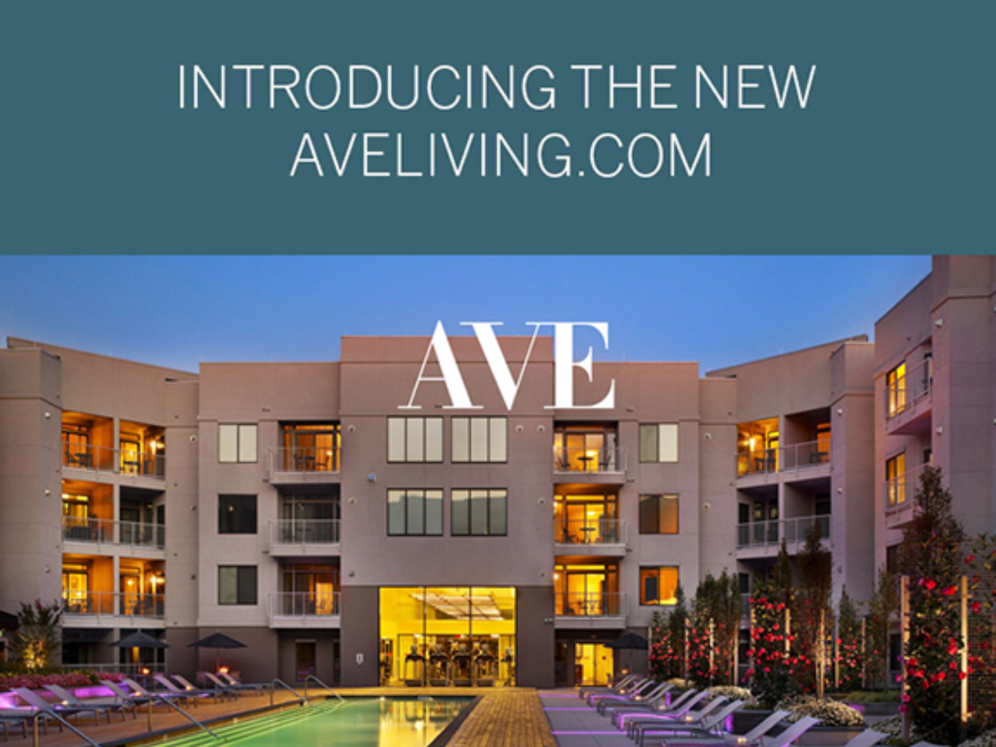 AVE LAUNCHES REDESIGNED WEBSITE