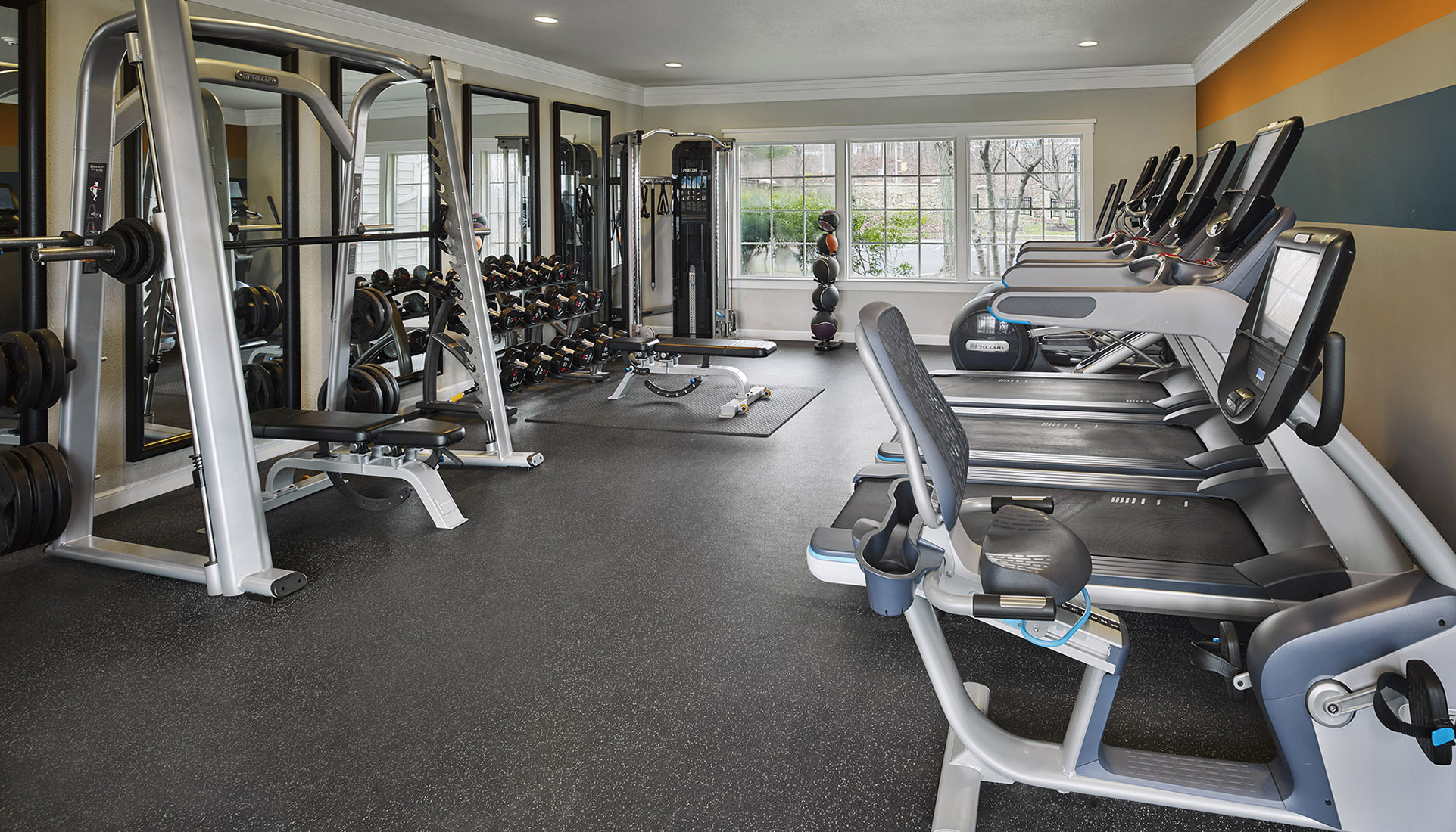 Fitness center with weight and cardio equipment