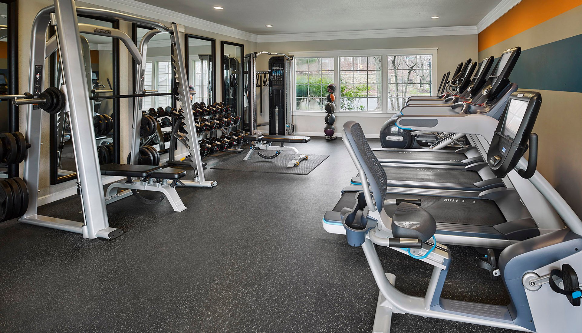Fitness center with weight and cardio equipment