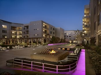 Fire Pit 
