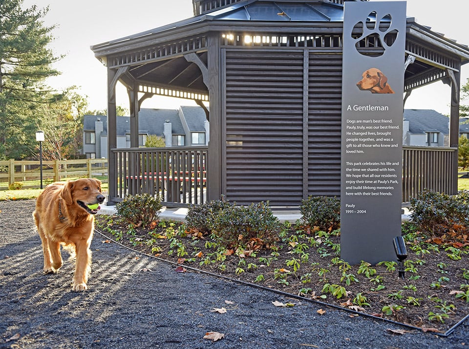 Blue Bell Villas dog park with golden in front of gazebo