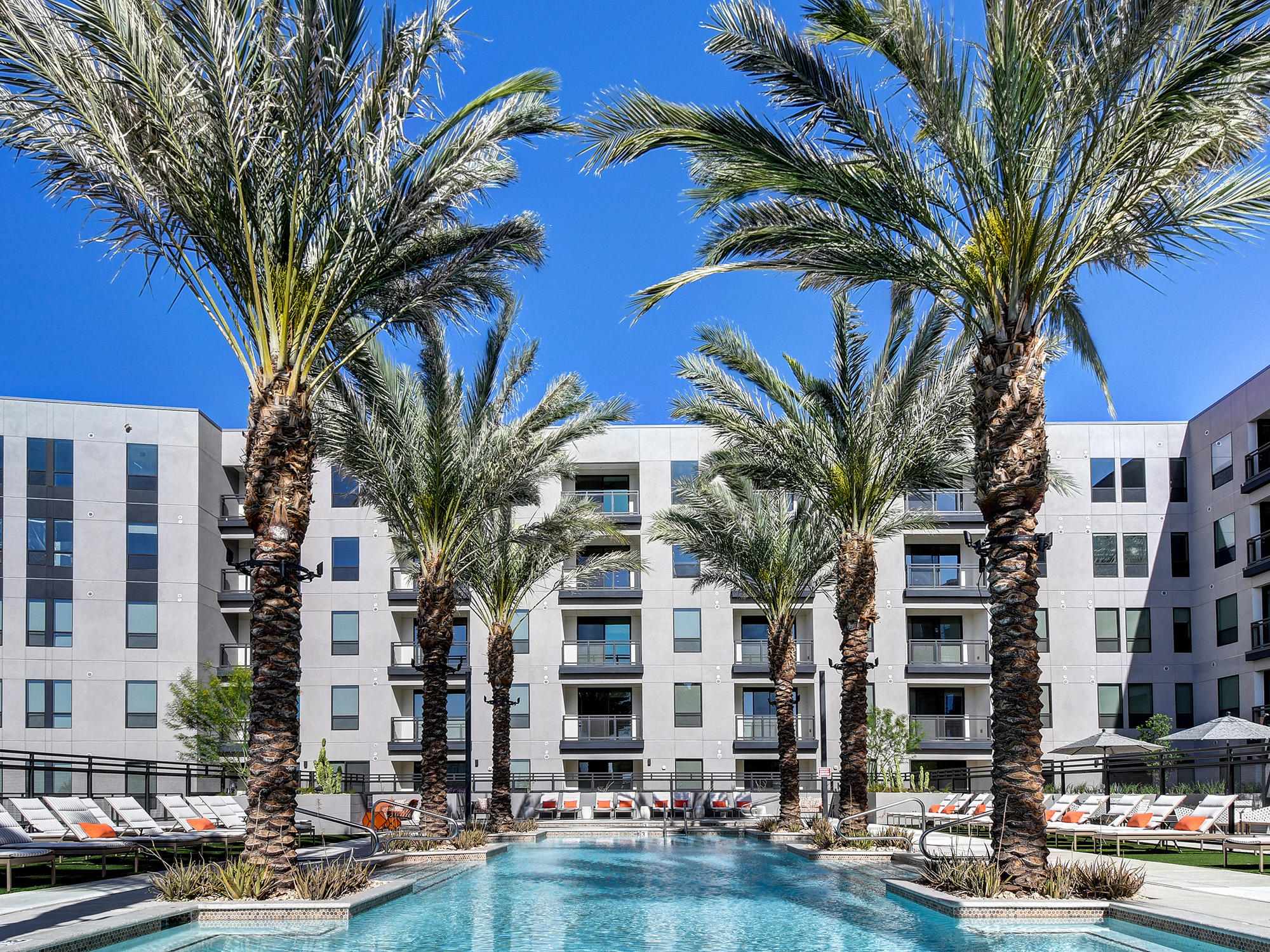 Phoenix Snowbirds Guide for What to Do This Winter