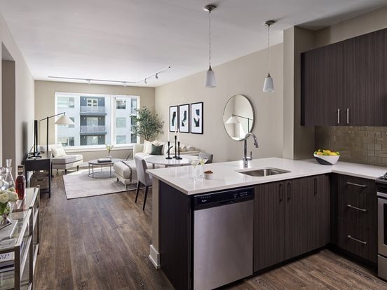 Luxury Apartment Rentals